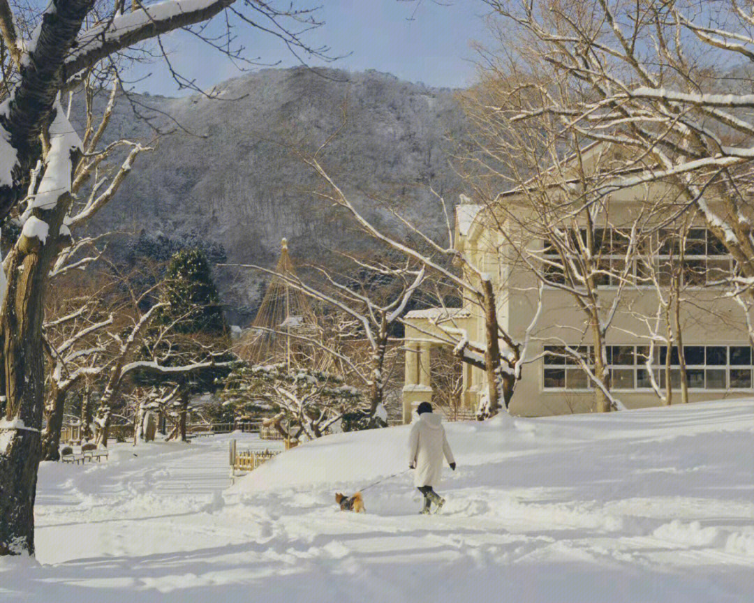 雪景朋友圈唯美文案