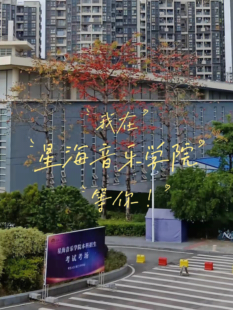 星海音乐学院尹夏沫图片