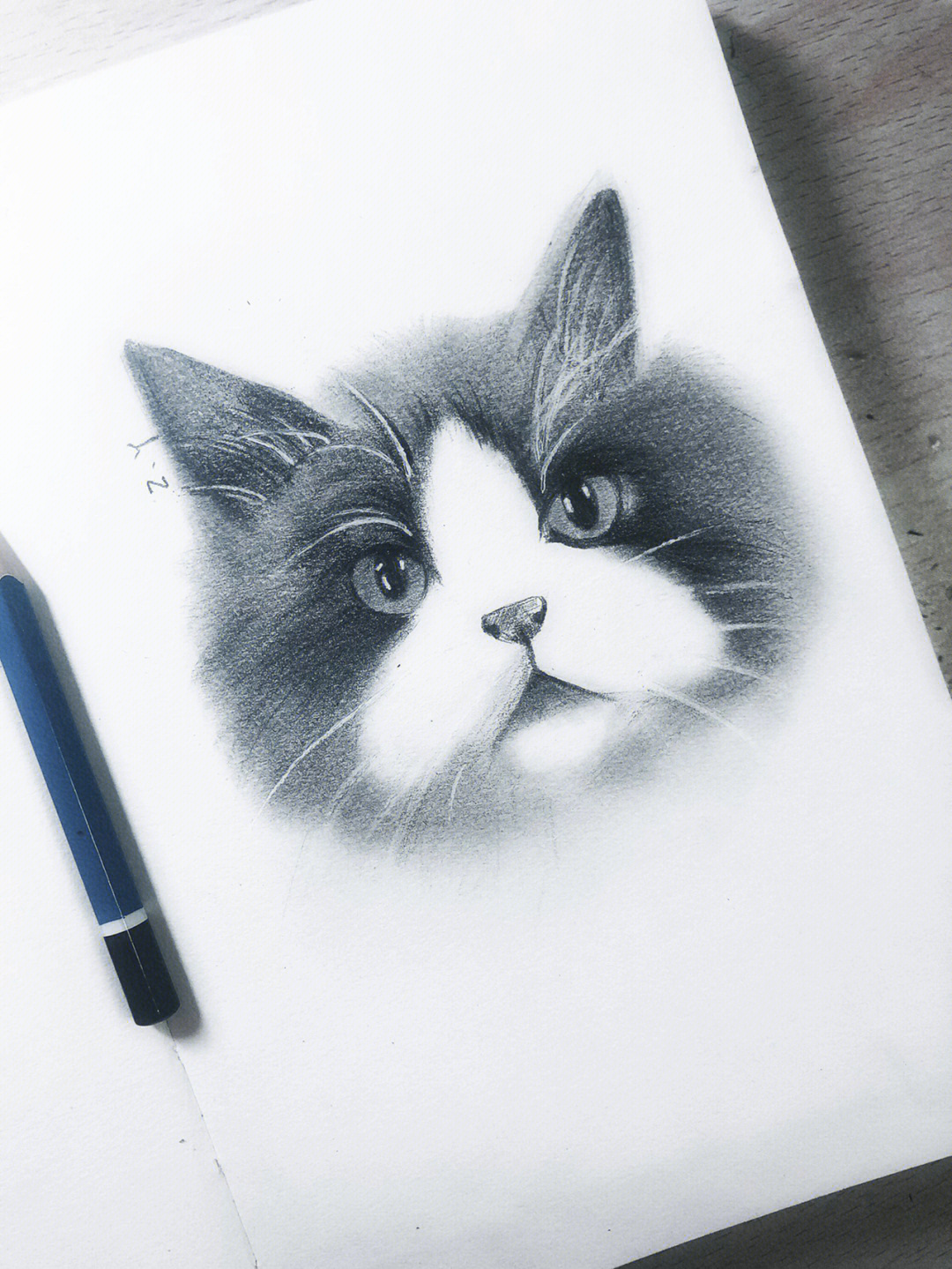 素描凶巴巴的猫