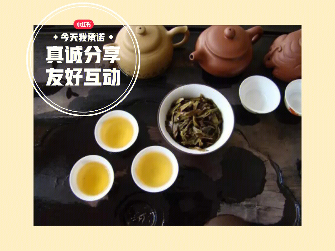 泡一壶好茶"单枞茶"和"单丛茶"是一个意思吗?97