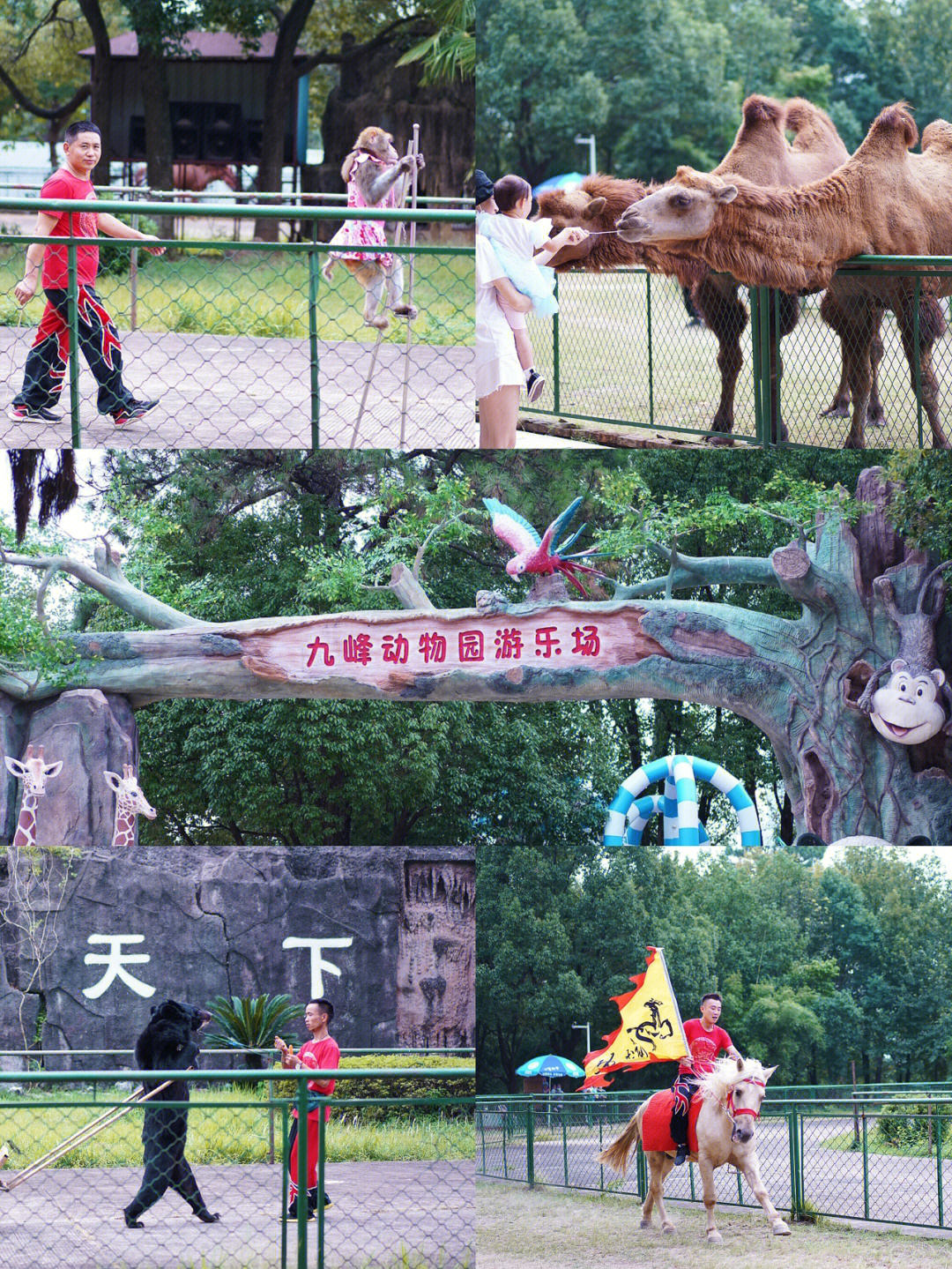 武汉九峰森林动物园又重新开门了快去遛娃