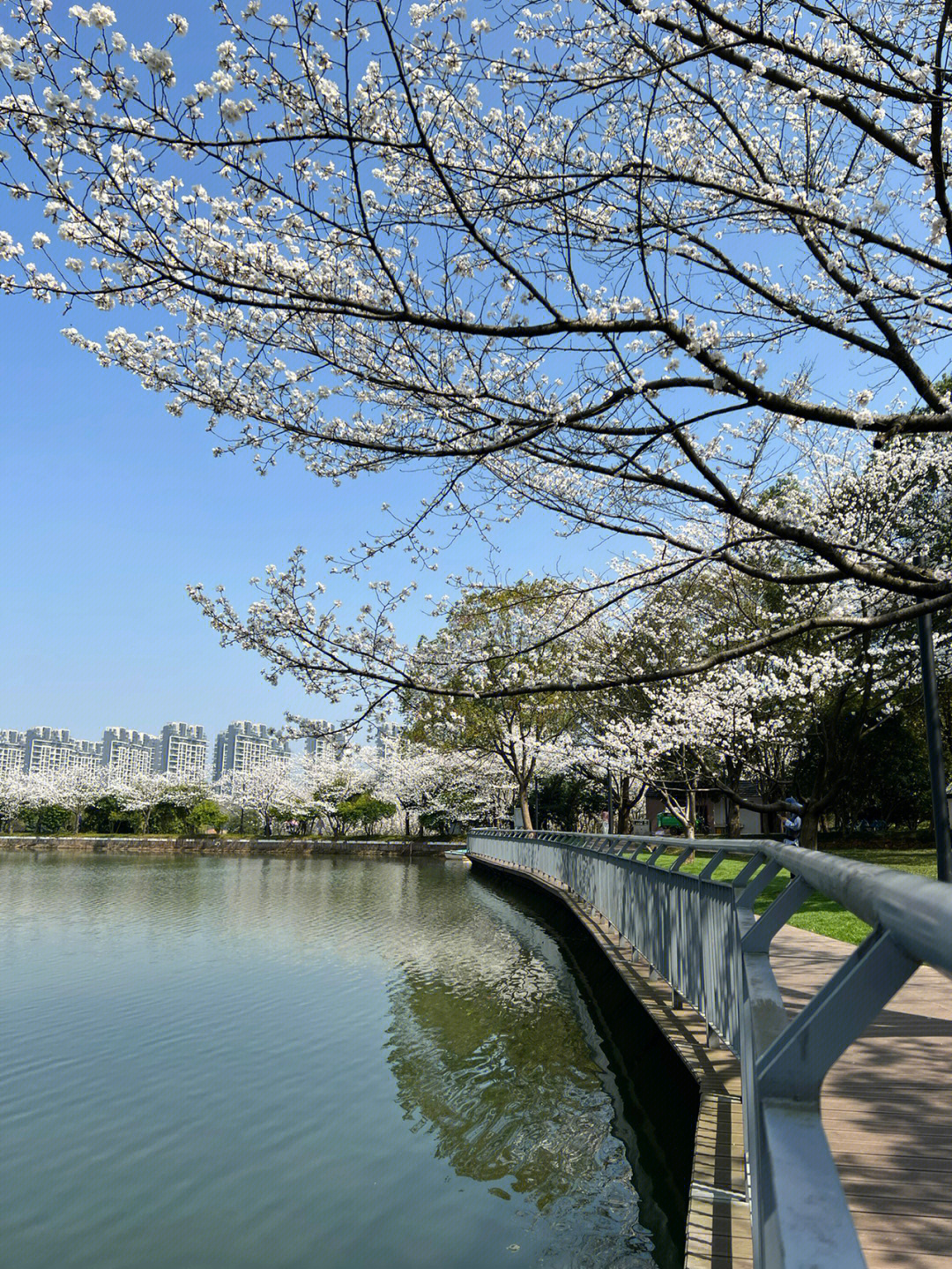 义乌植物园在哪里图片