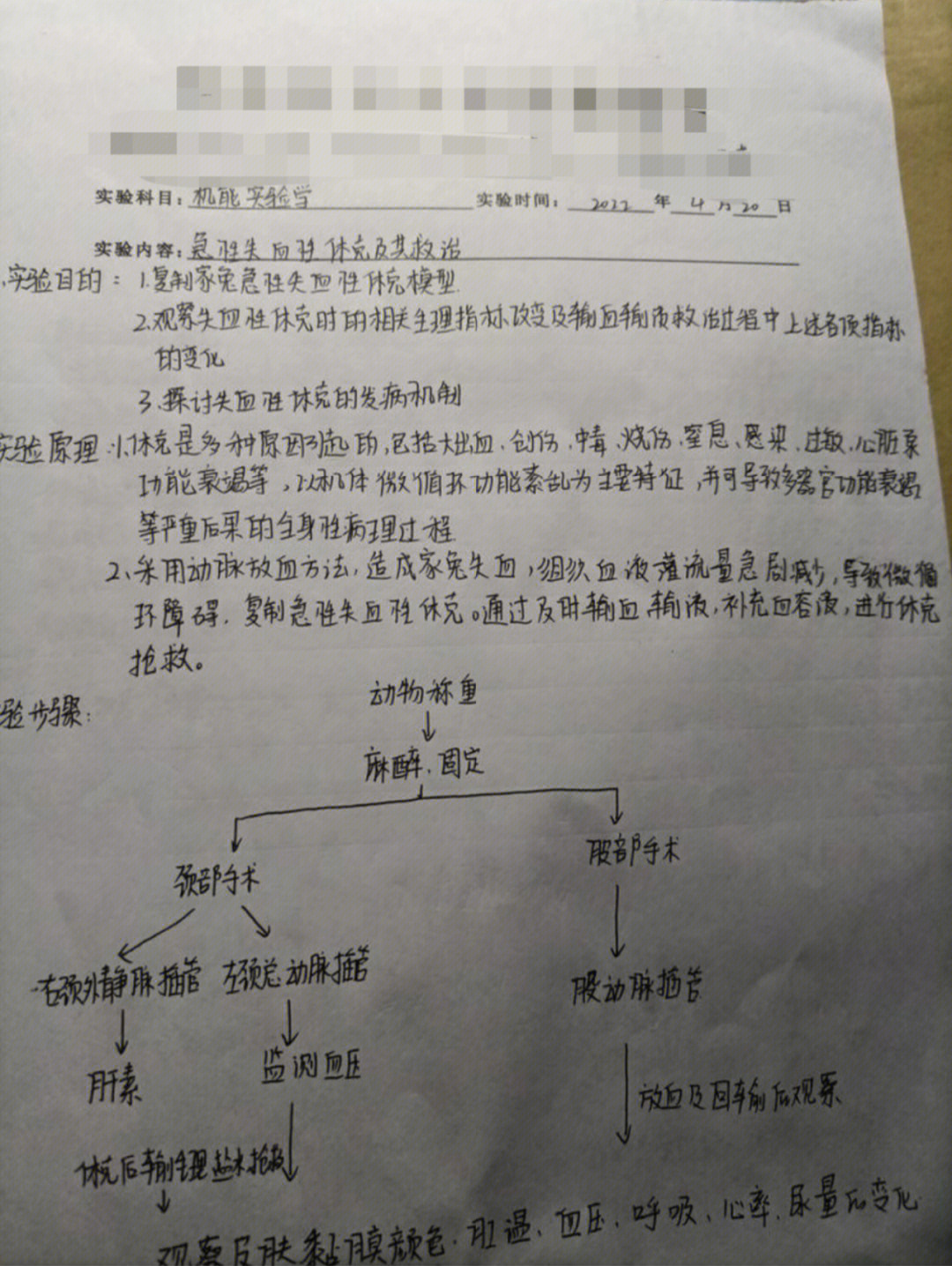 休克分类思维导图图片