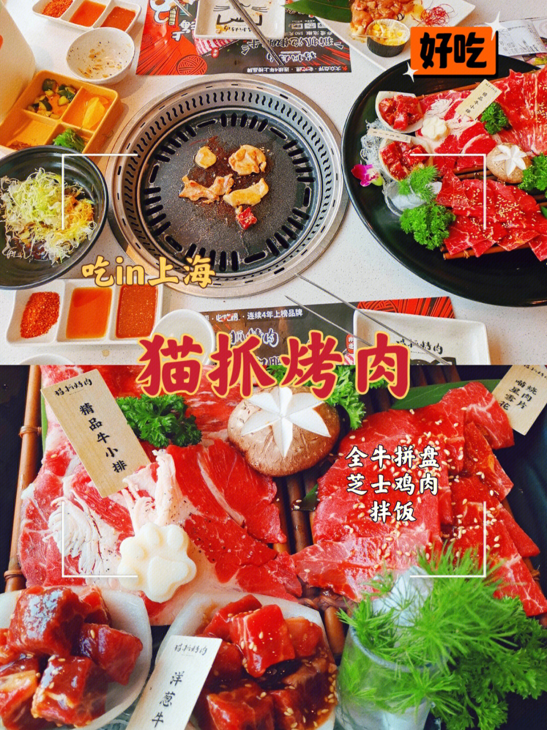 吃in上海73烤肉店里的颜值派猫抓烤肉