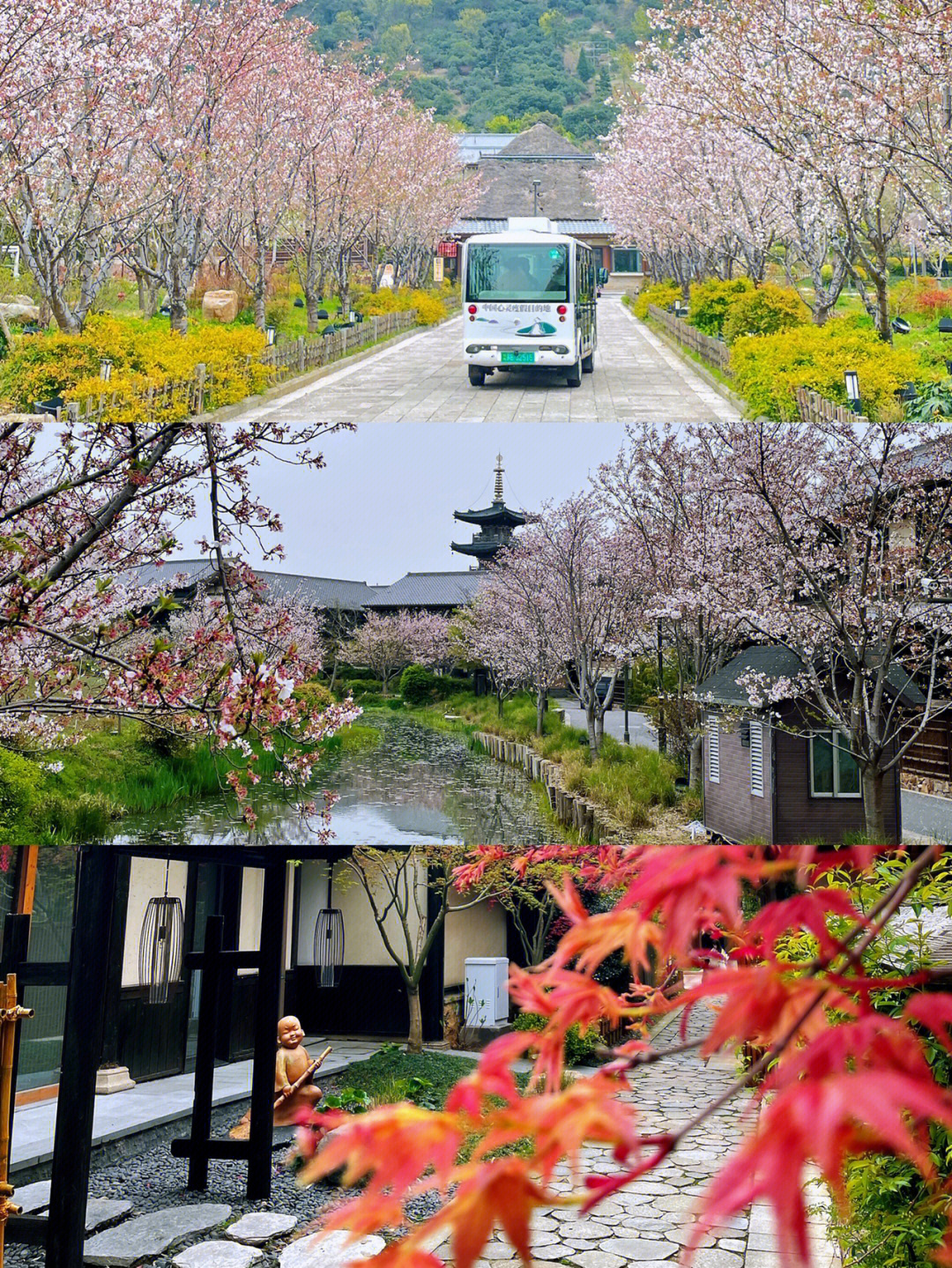 无锡拈花湾小镇#樱花季#赏樱之旅疫情期间不建议去外地旅游,挝