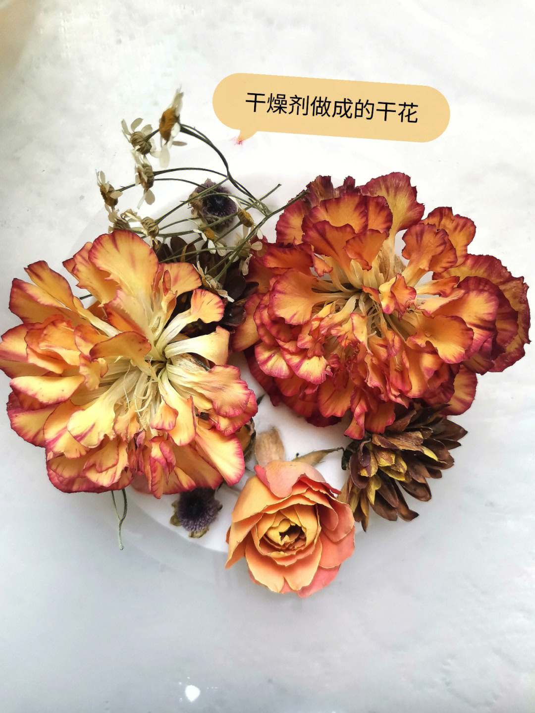 怎样制作干花图片