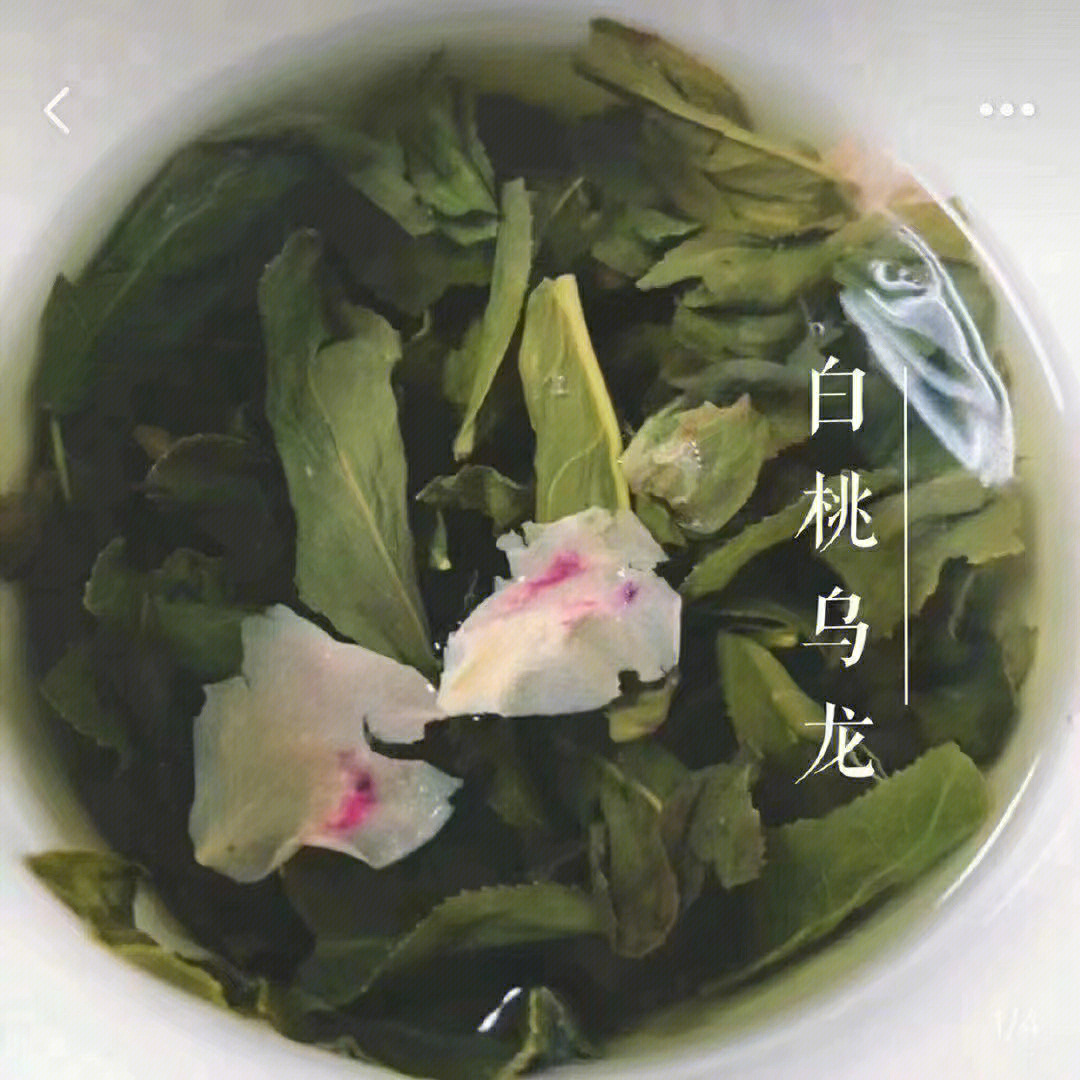白桃乌龙茶简介图片