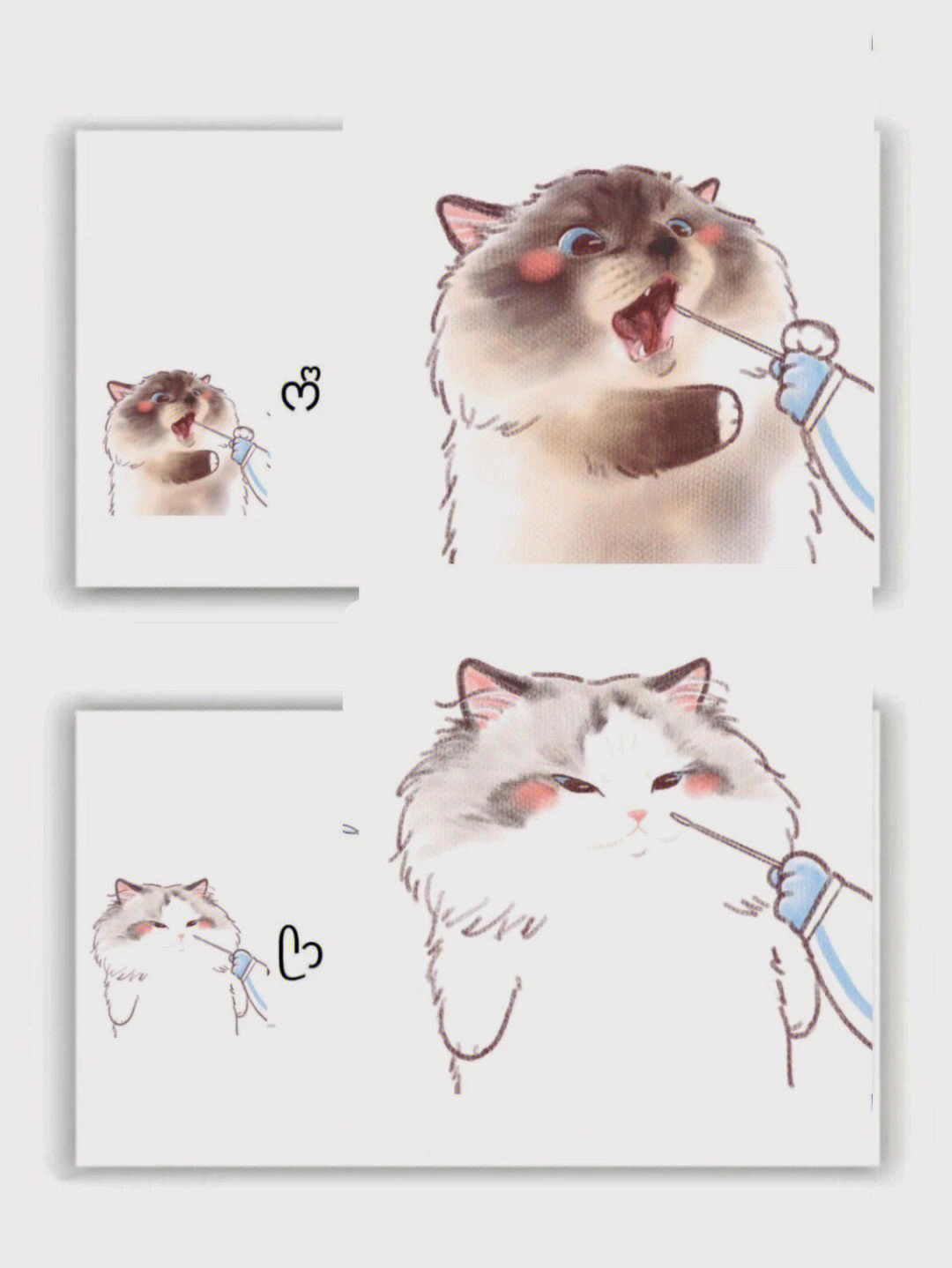 猫猫做核酸动漫图片图片
