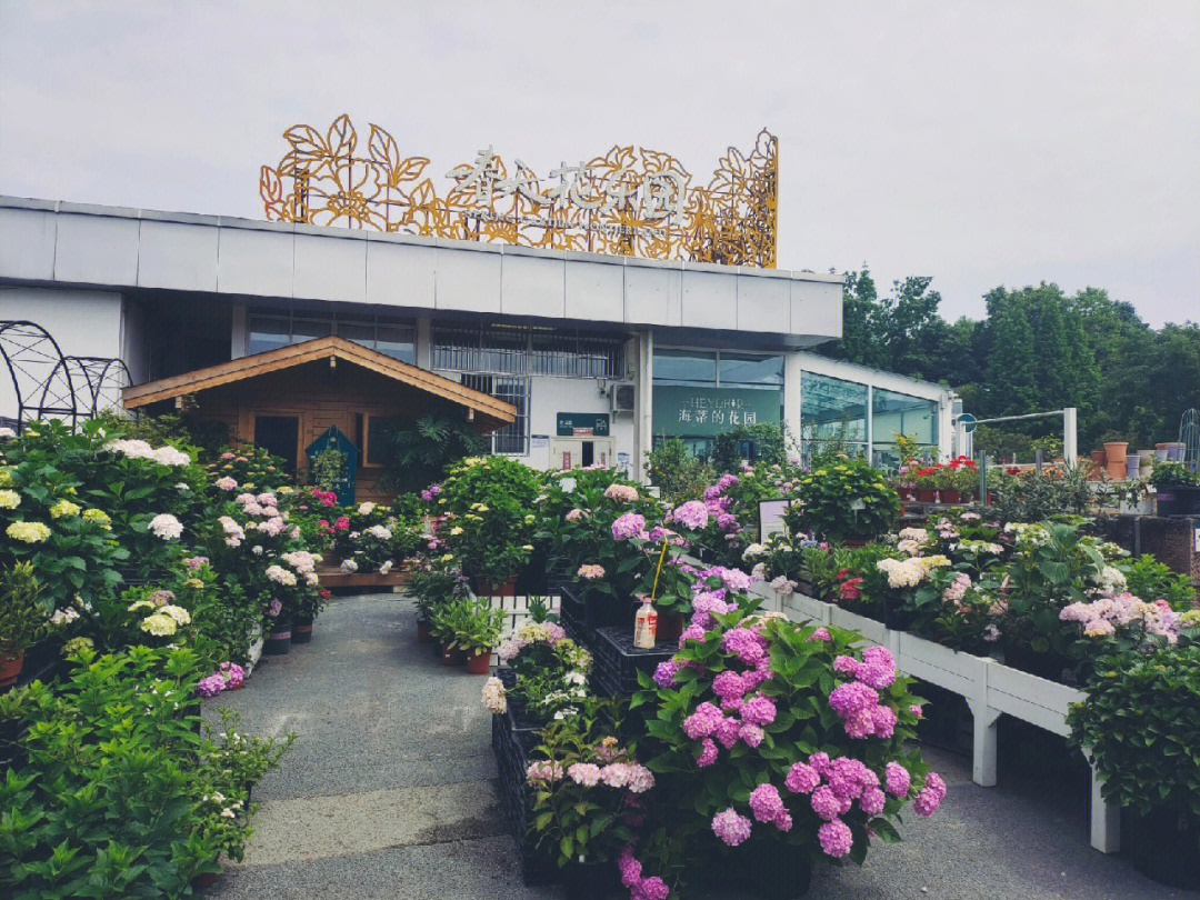 海蒂的花园郫县基地图片