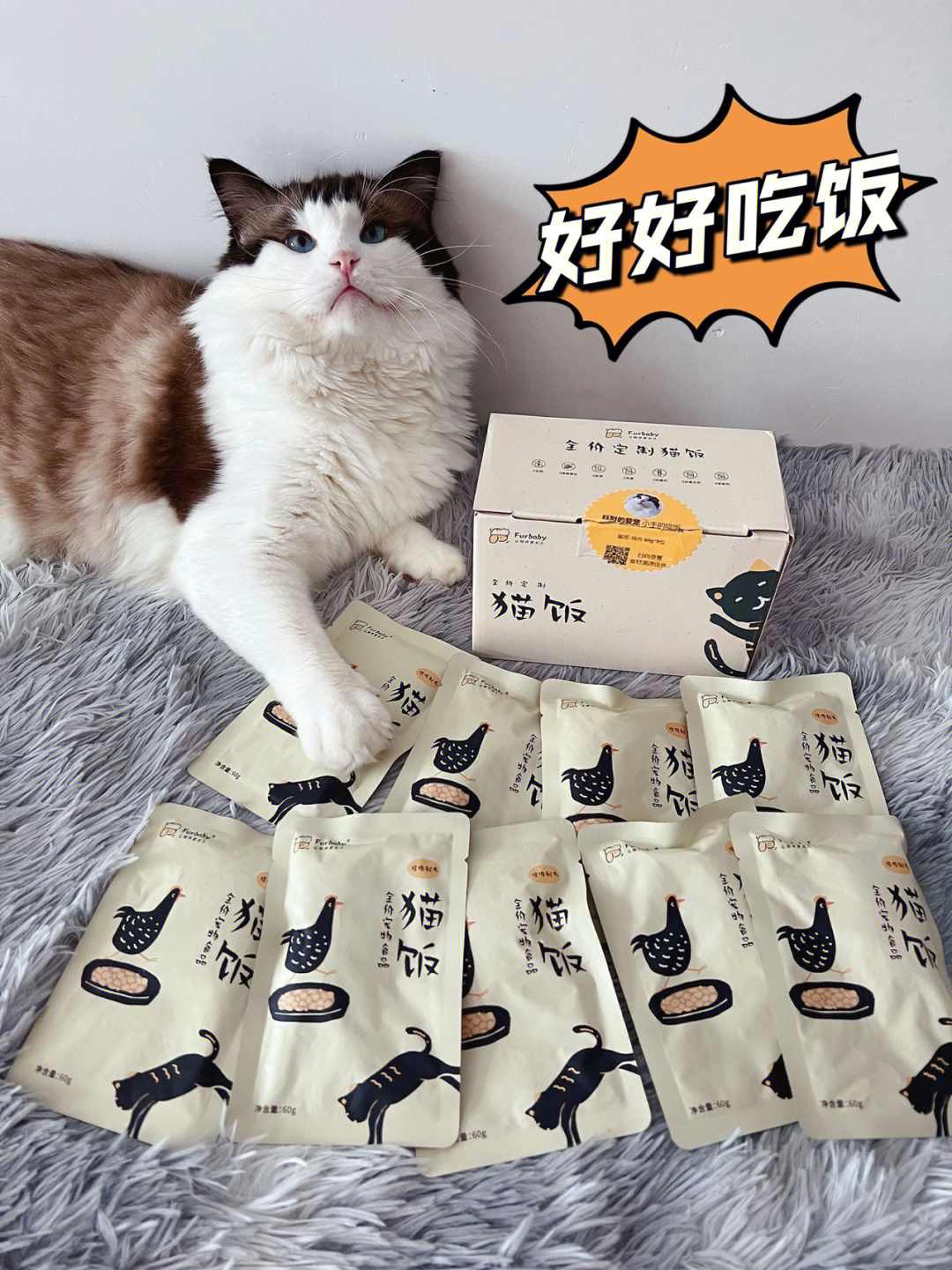 猫猫吃上健康的furbaby猫饭啦