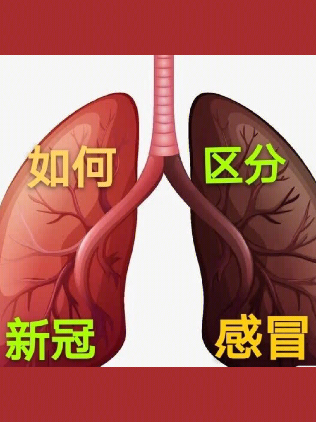 重庆新冠流行性感冒和新冠你真的分得清吗