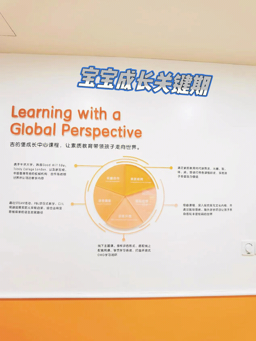 关键期是谁提出的 小红书