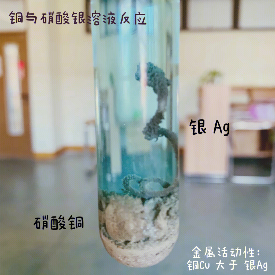 铜与硝酸银溶液反应图片