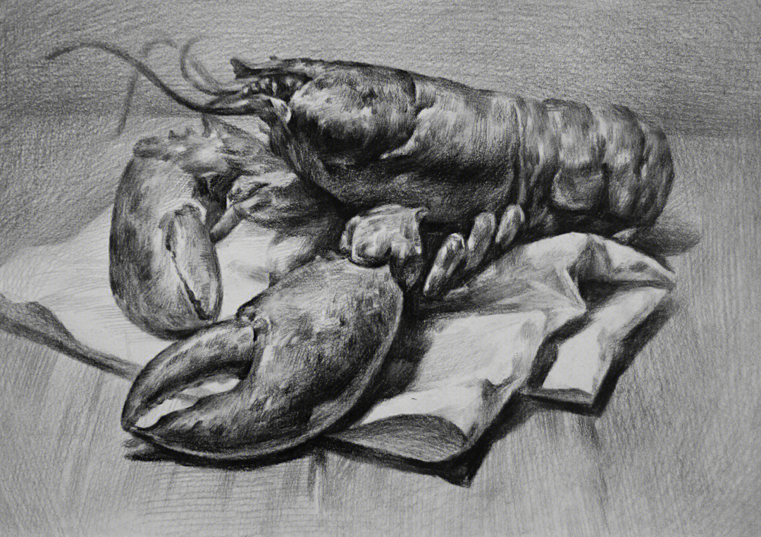 大龙虾素描画简单图片