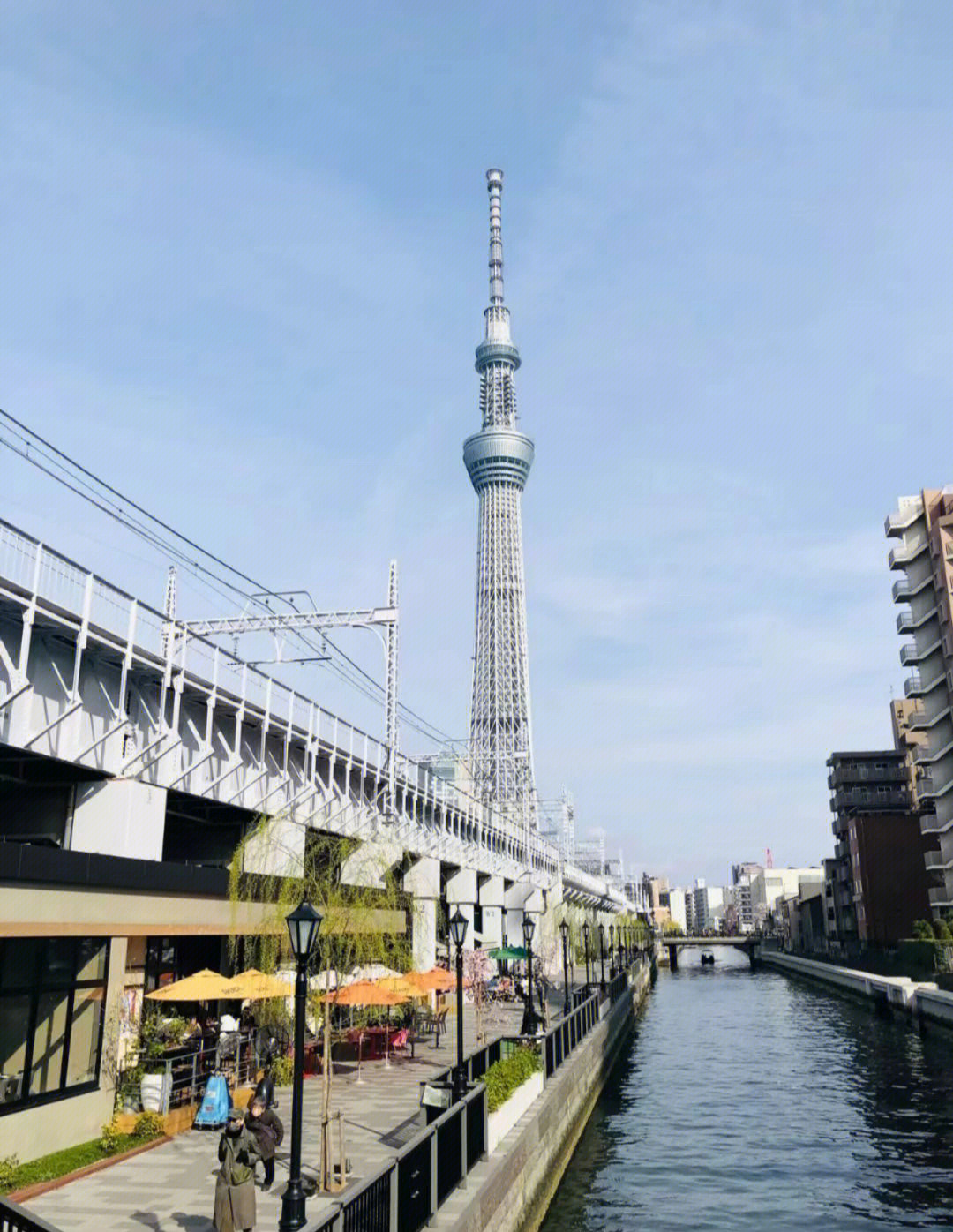 日本东京隅田川公园,满是铺着餐布享受阳光明媚的人群.躺平的国度.