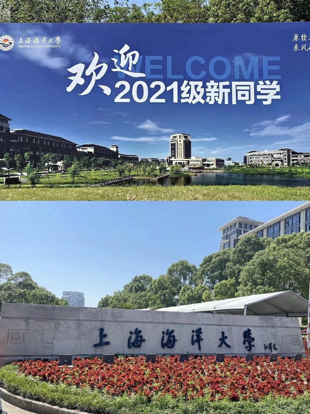 上海海洋大学研究生院图片