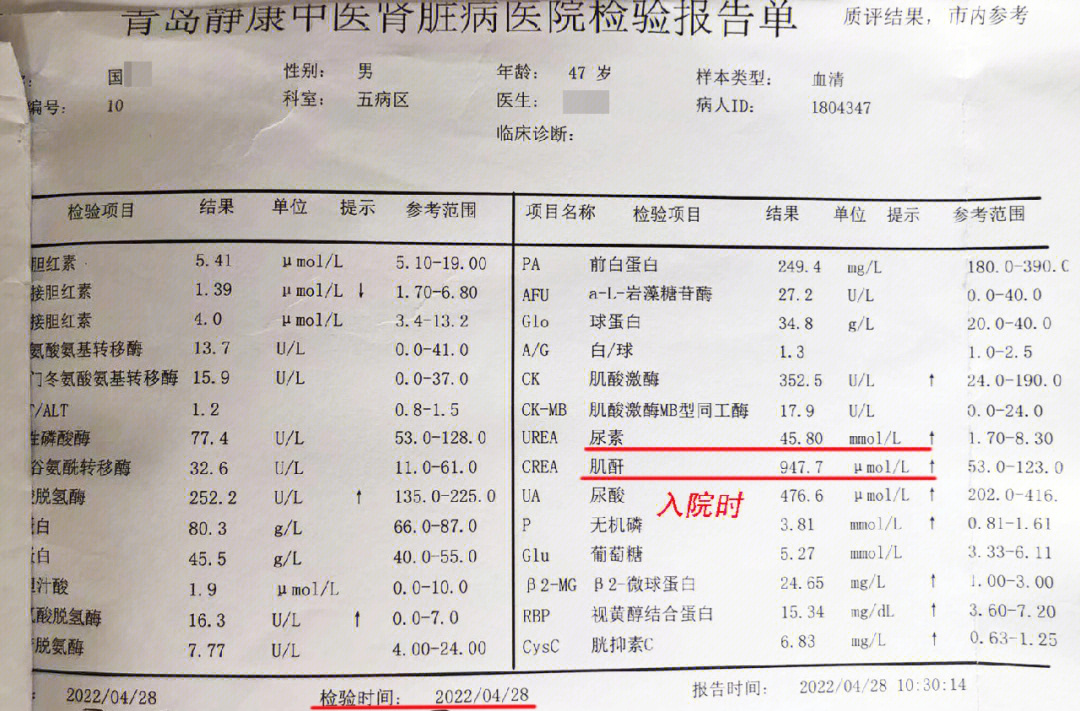 血肌酐检查图片