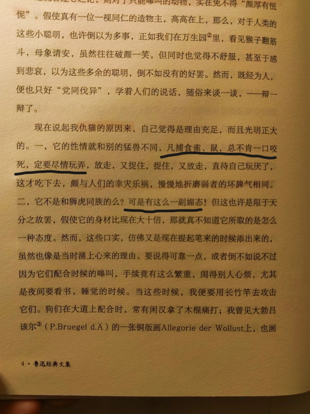 狗猫鼠好句图片