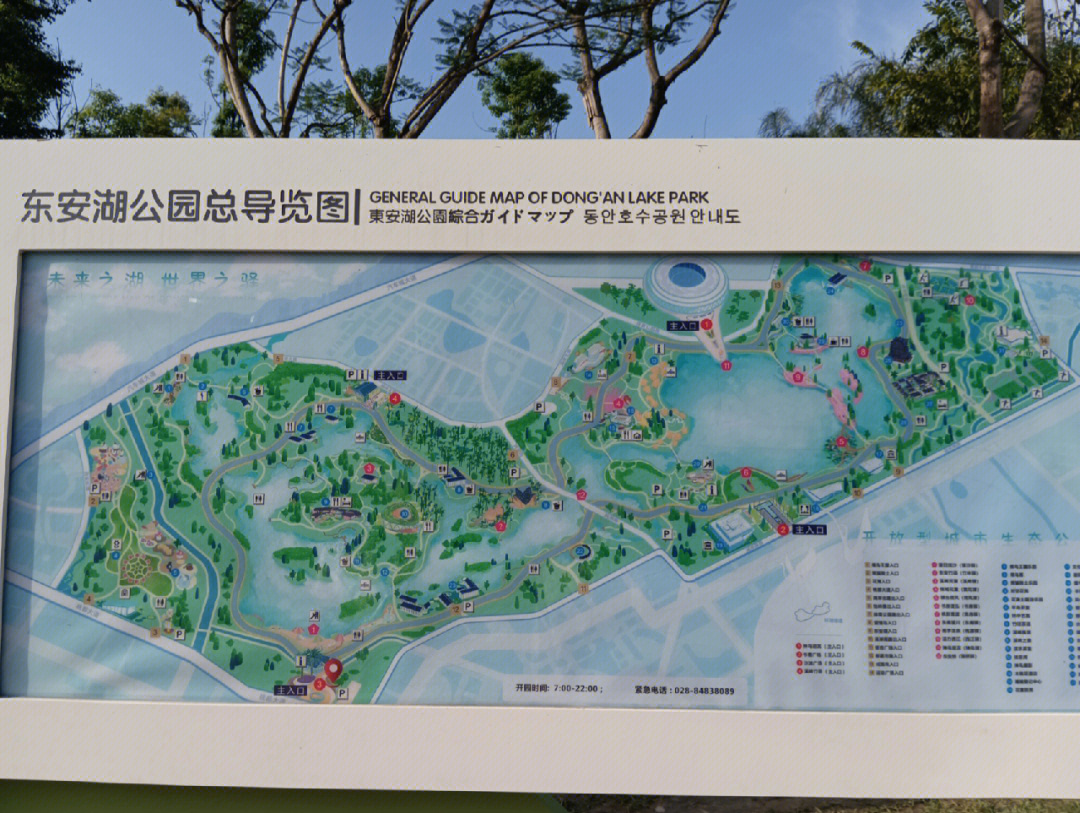 龙泉东安湖公园地址图片