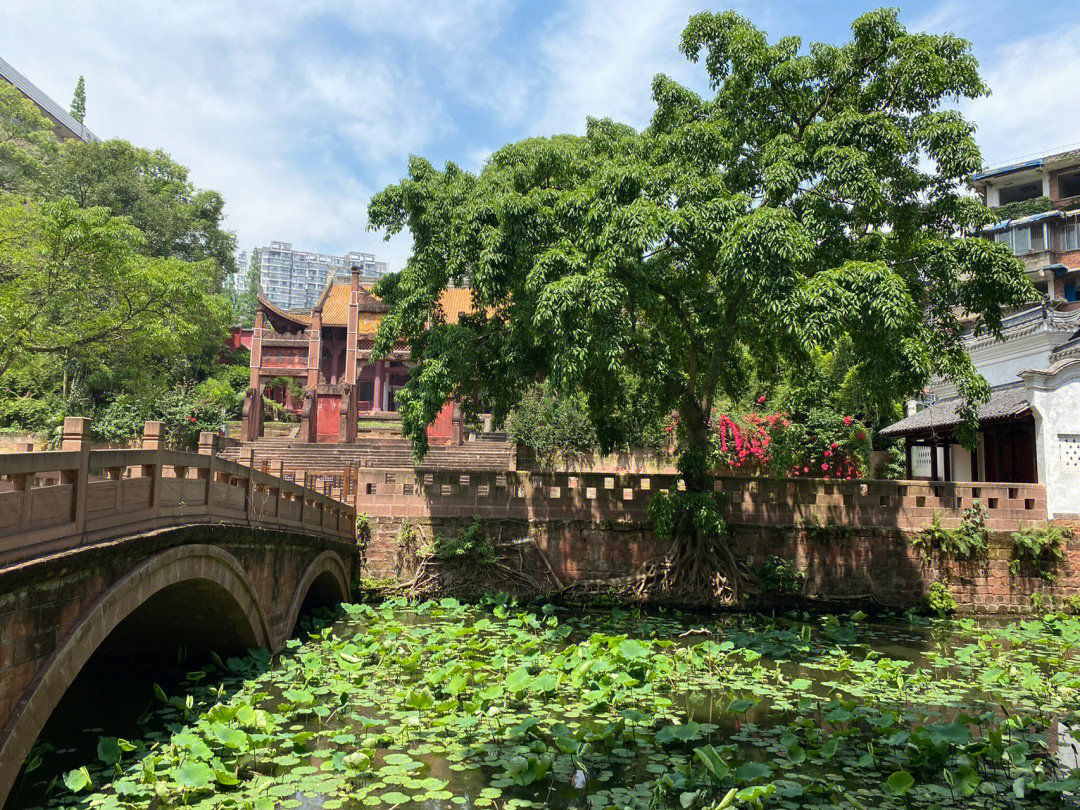 乐山市内景点图片