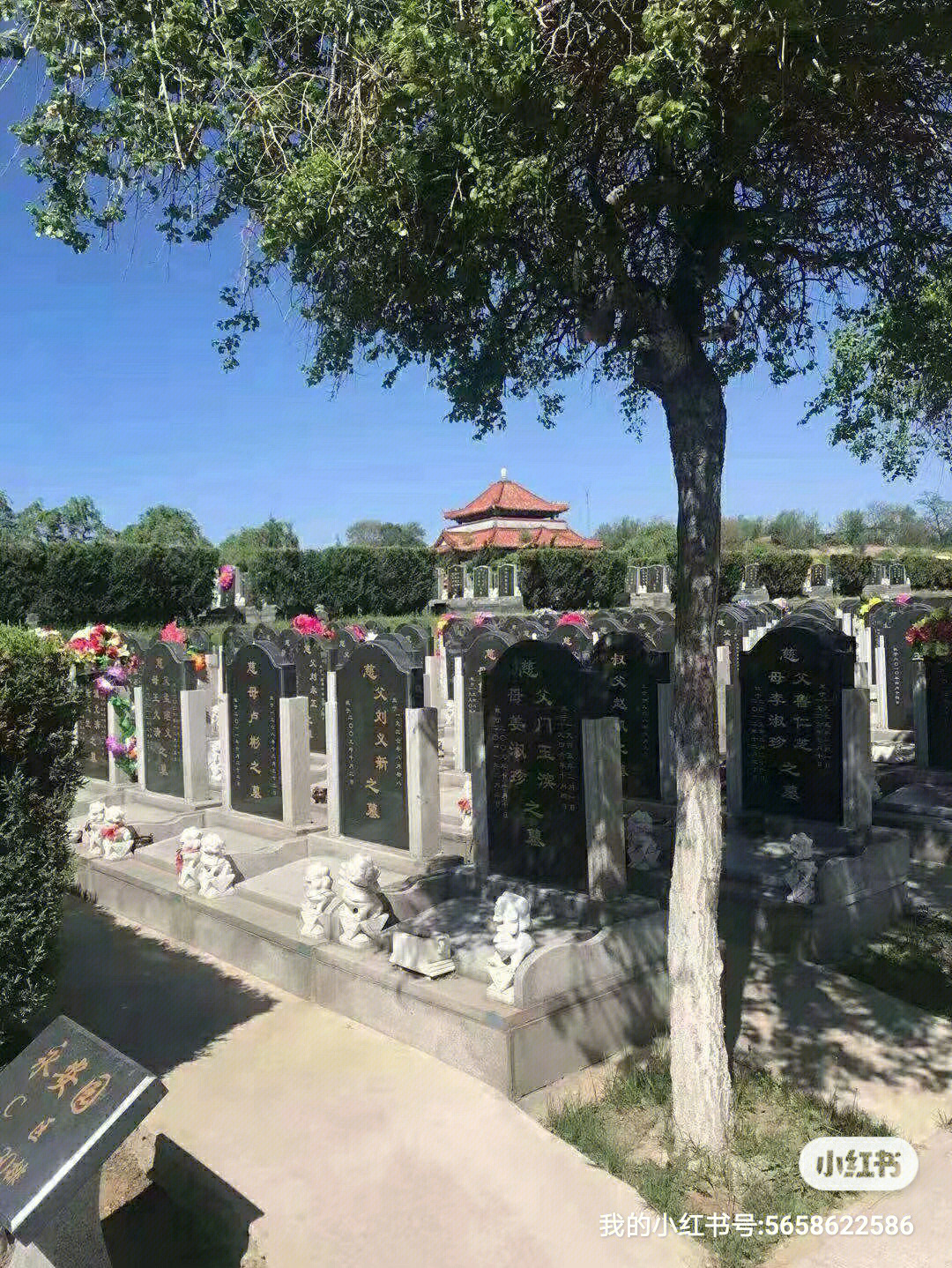 辽阳龙泉山公墓图片
