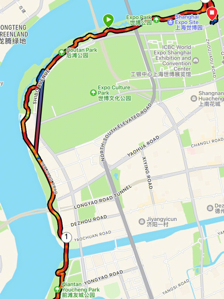 徐汇滨江大道交通线路图片