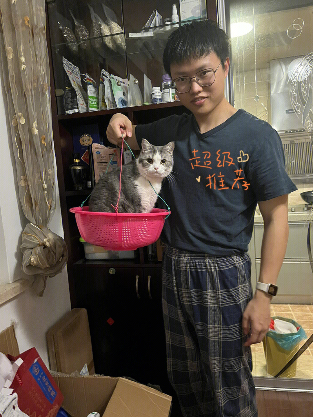 小猫十元一只在哪买图片