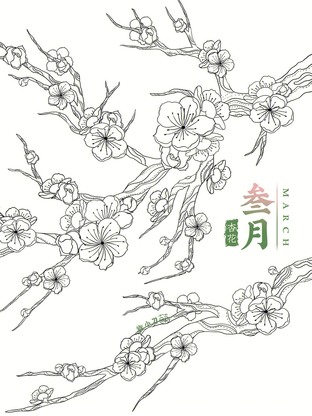 杏花线描图片