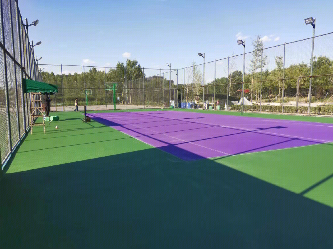 网球小伙伴你们喜欢什么颜色的球场