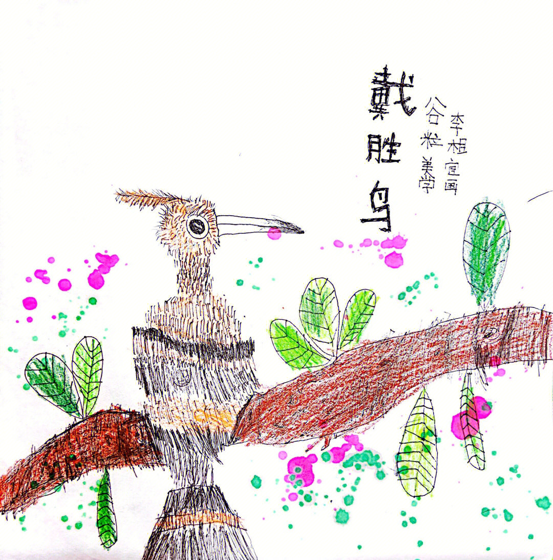 二年级下册美术画鸟图片