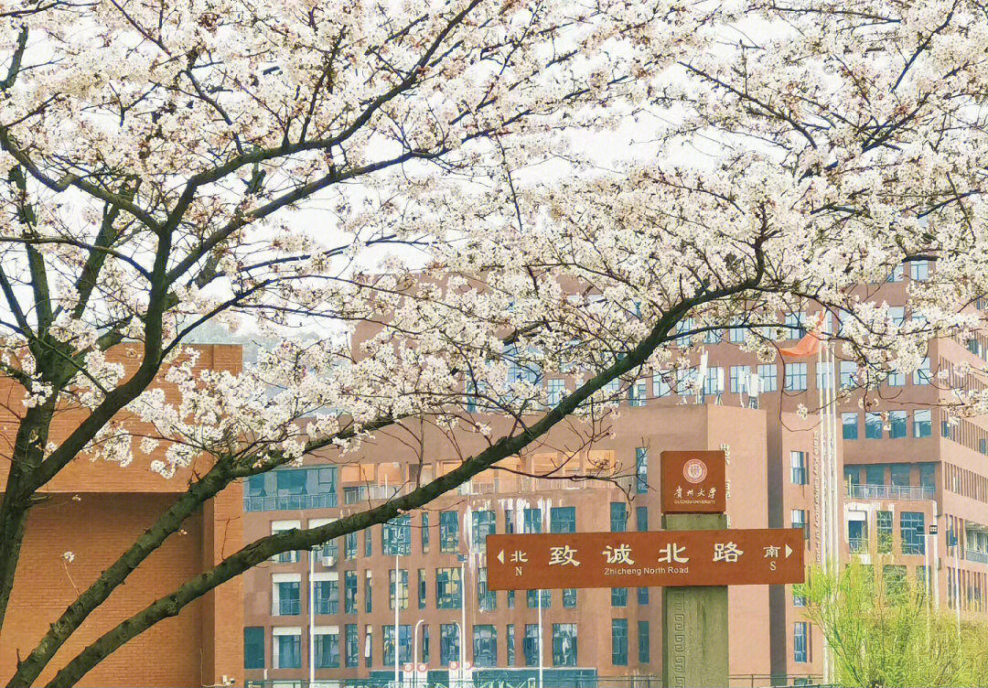 贵州大学壁纸图片