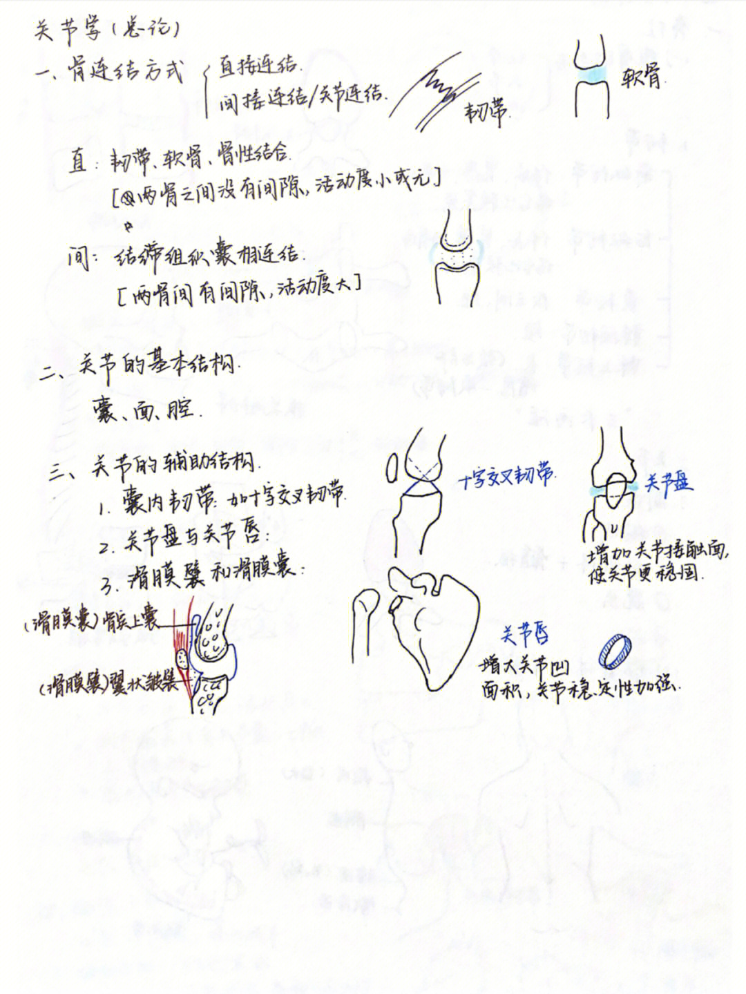 笔记分享系解关节学总论及躯干骨连结