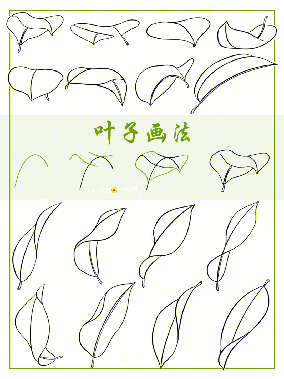 100种树叶画法图片