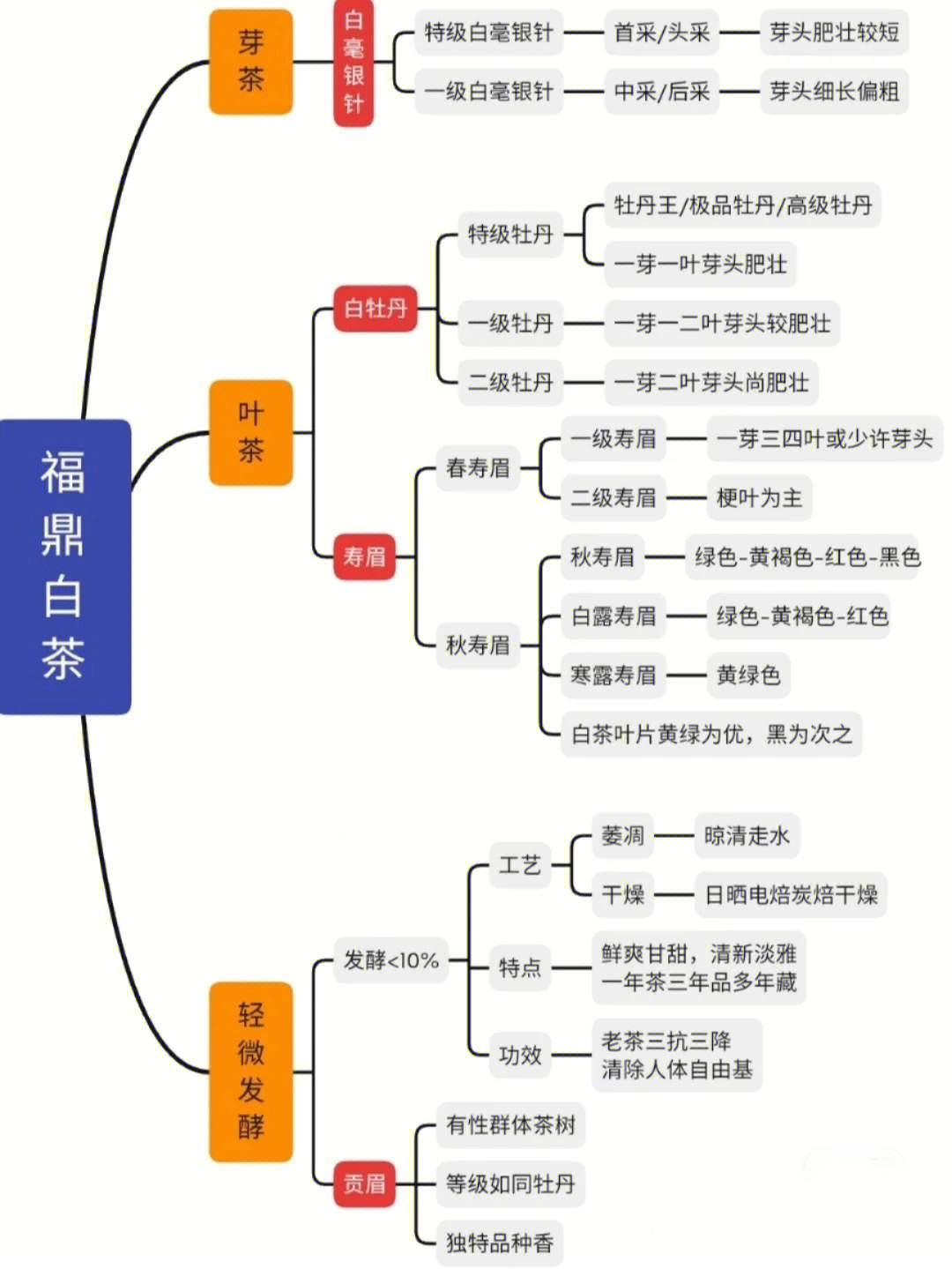 福鼎白茶产区分布图图片