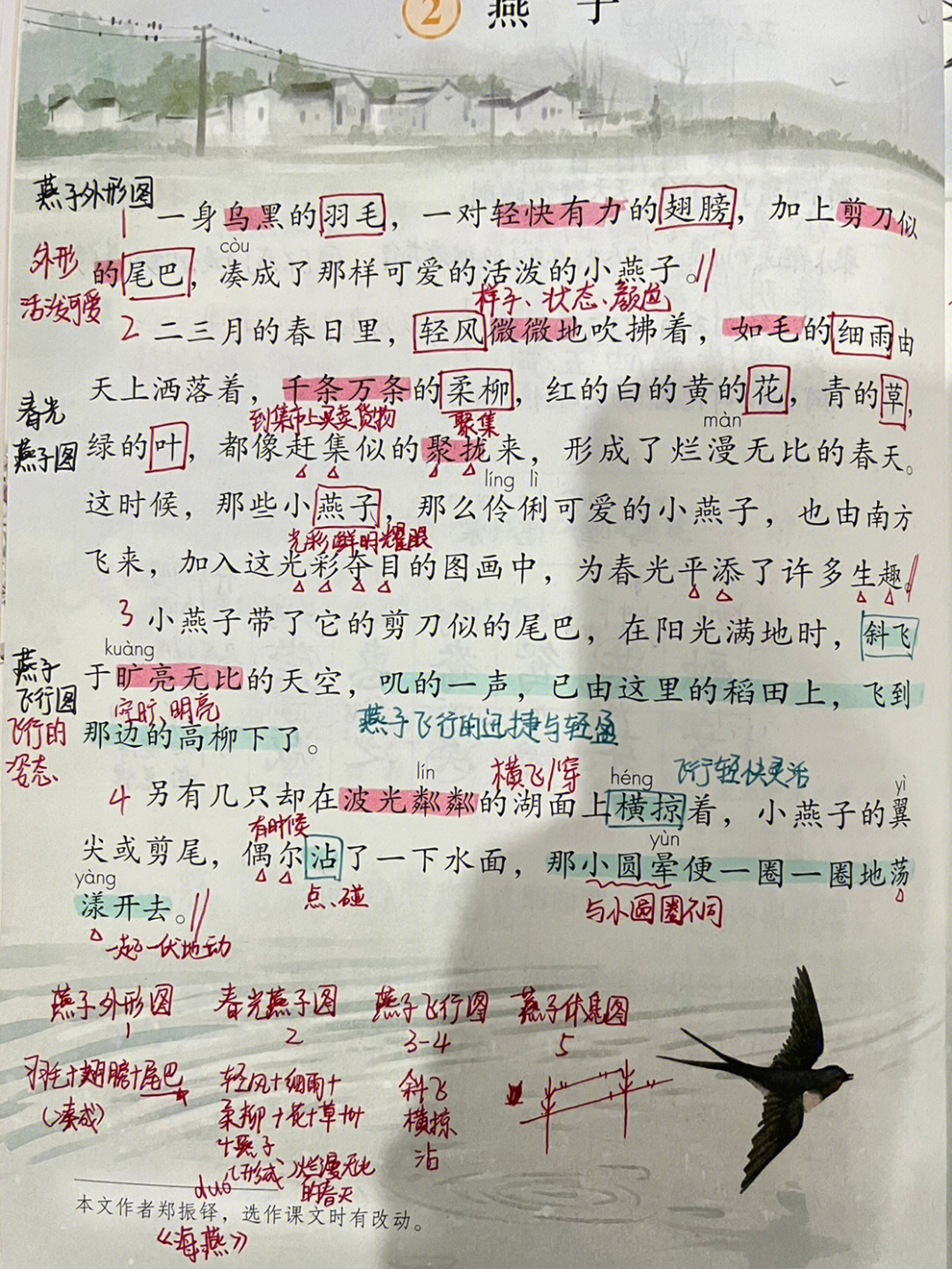 三年级下册燕子教学笔记手写教案