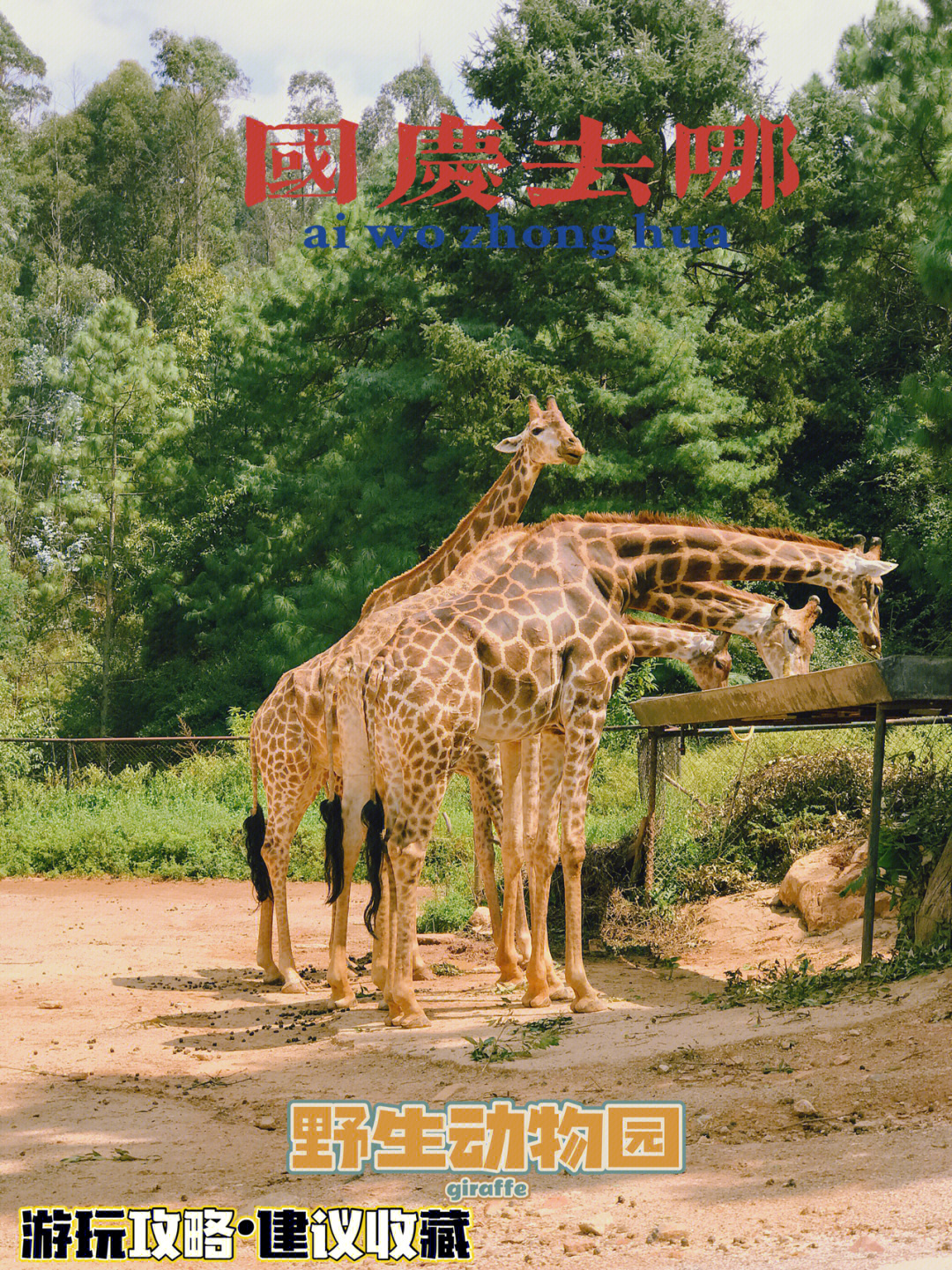 鄂北野生动物园地址图片