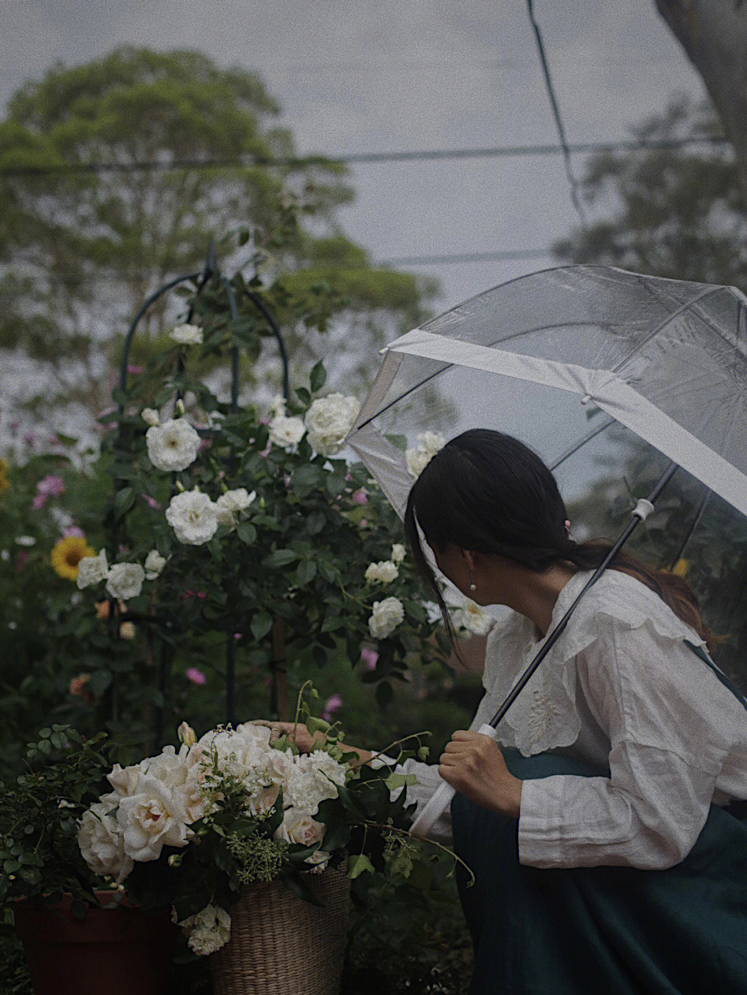 陆茵茵《台风天 67676767 67676767…你遇上