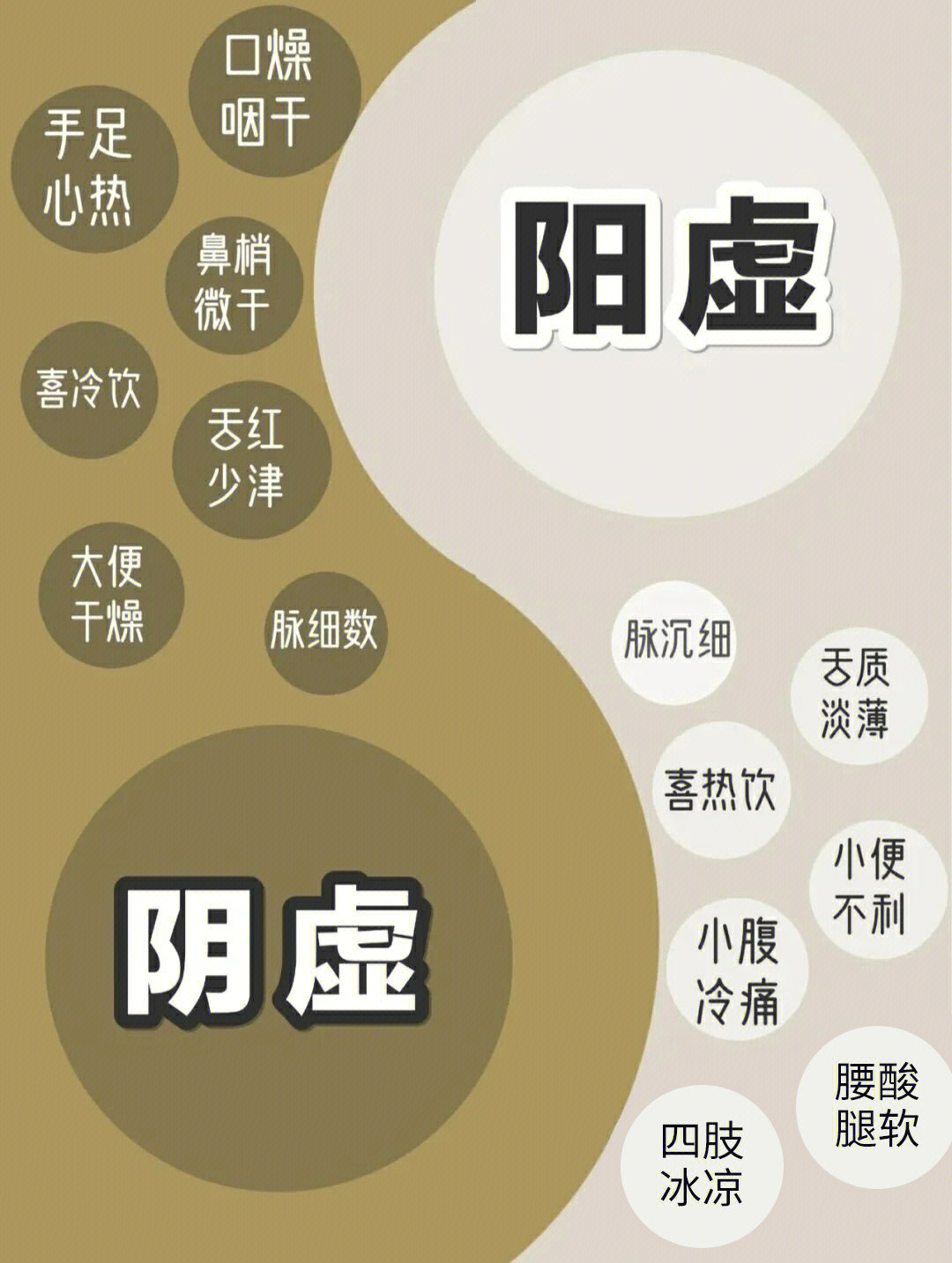 阴虚vs阳虚