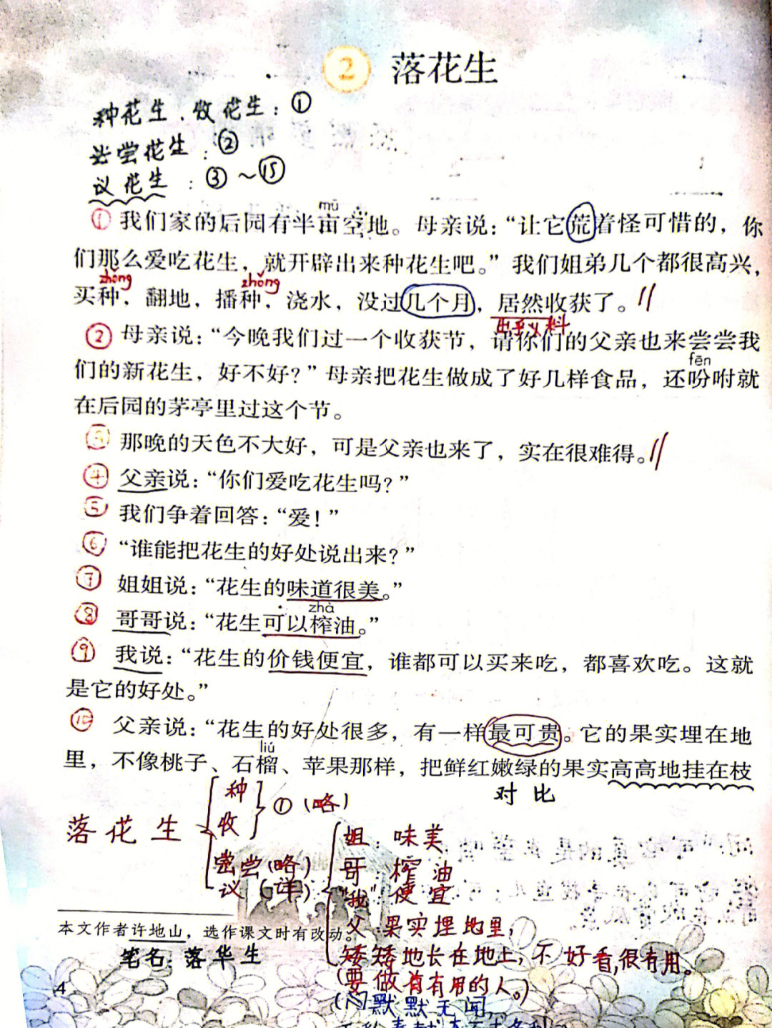 落花生生字笔记图片