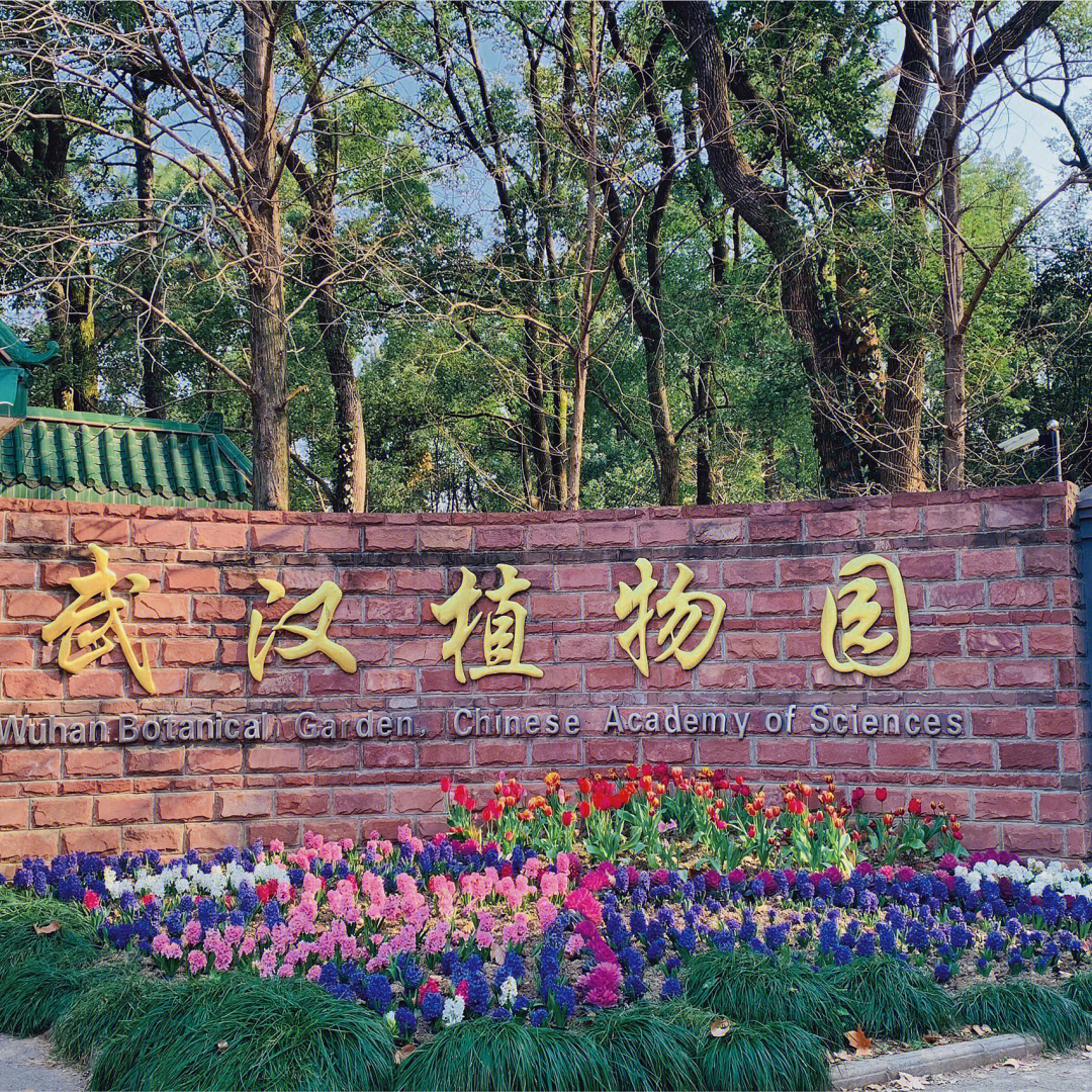 武汉植物园平面图图片