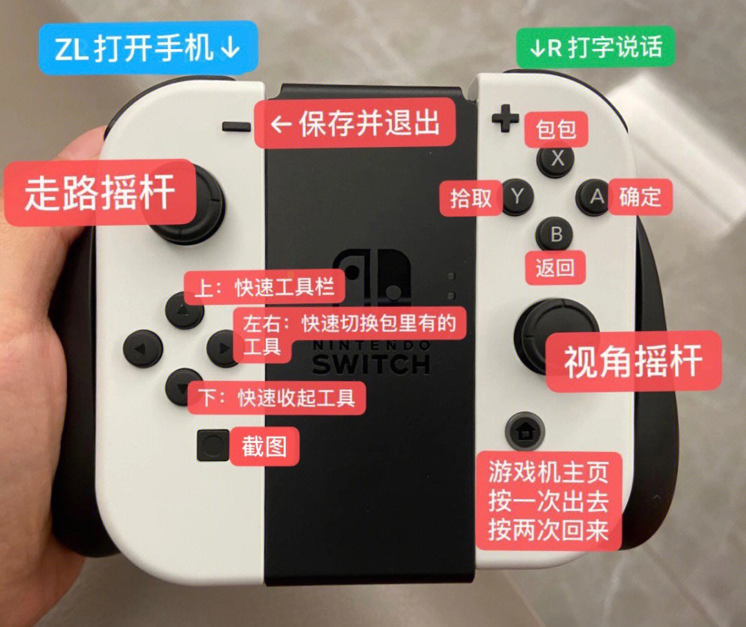 switch按键图解图片