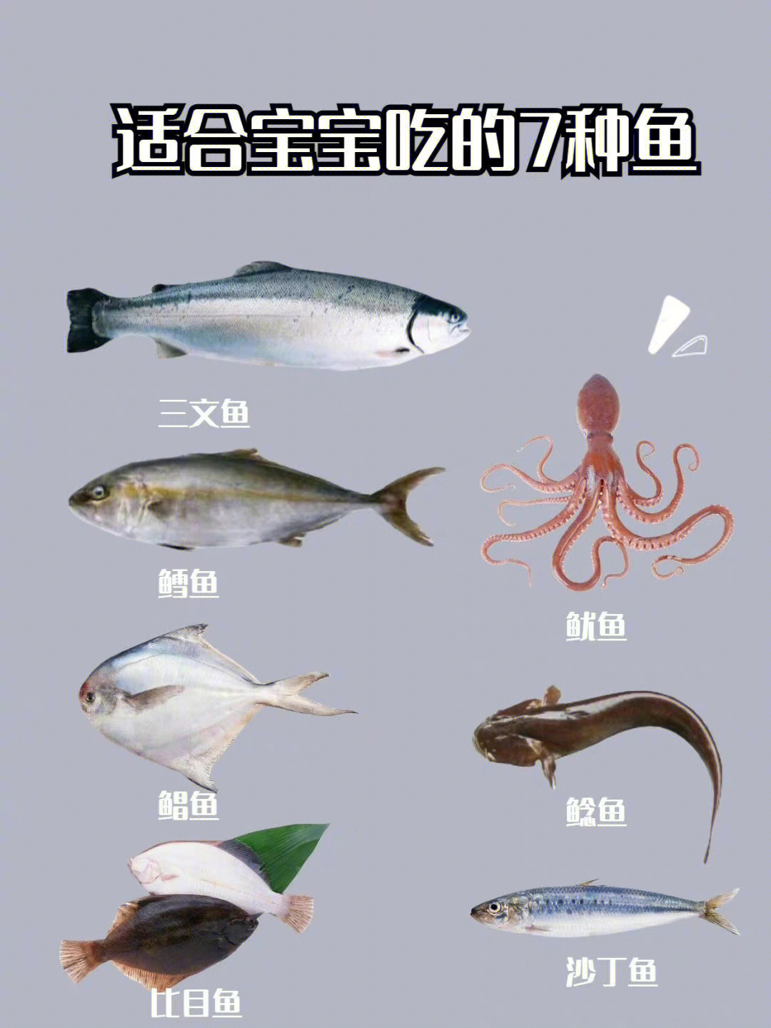 适合宝宝吃的7种鱼让宝宝更聪明