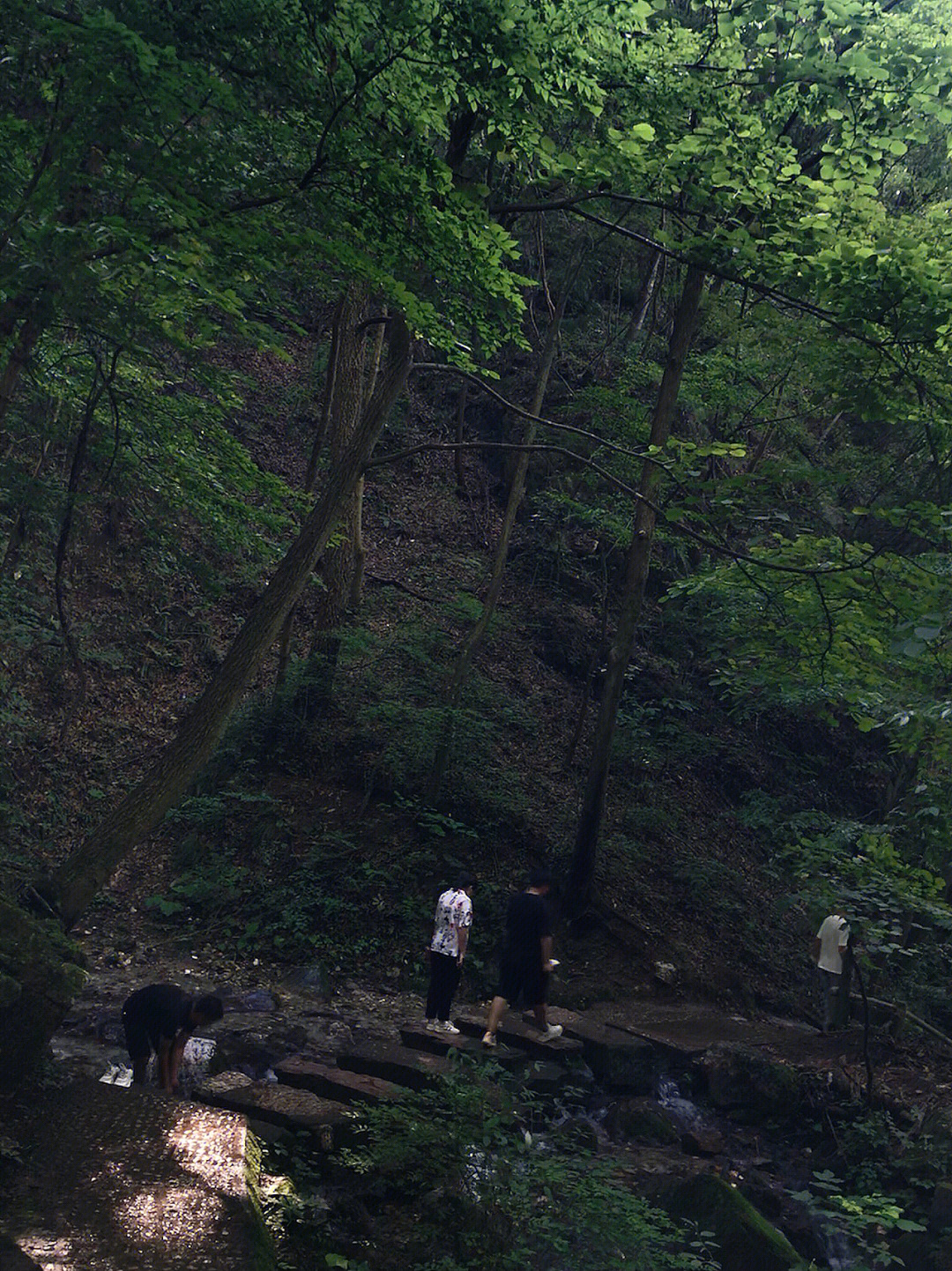 山间小路一草一木皆风景