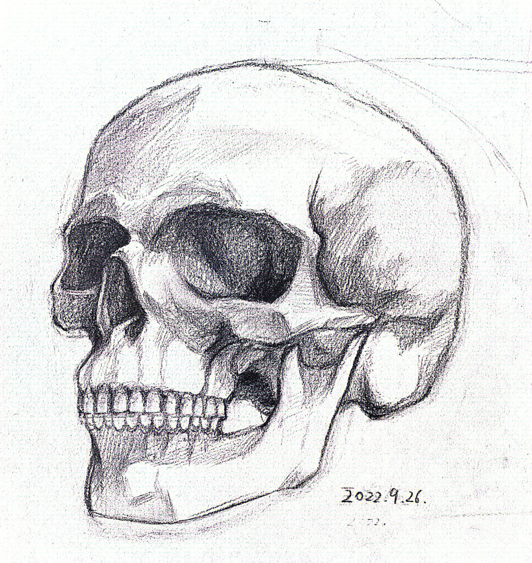 初学素描骷髅头步骤图片