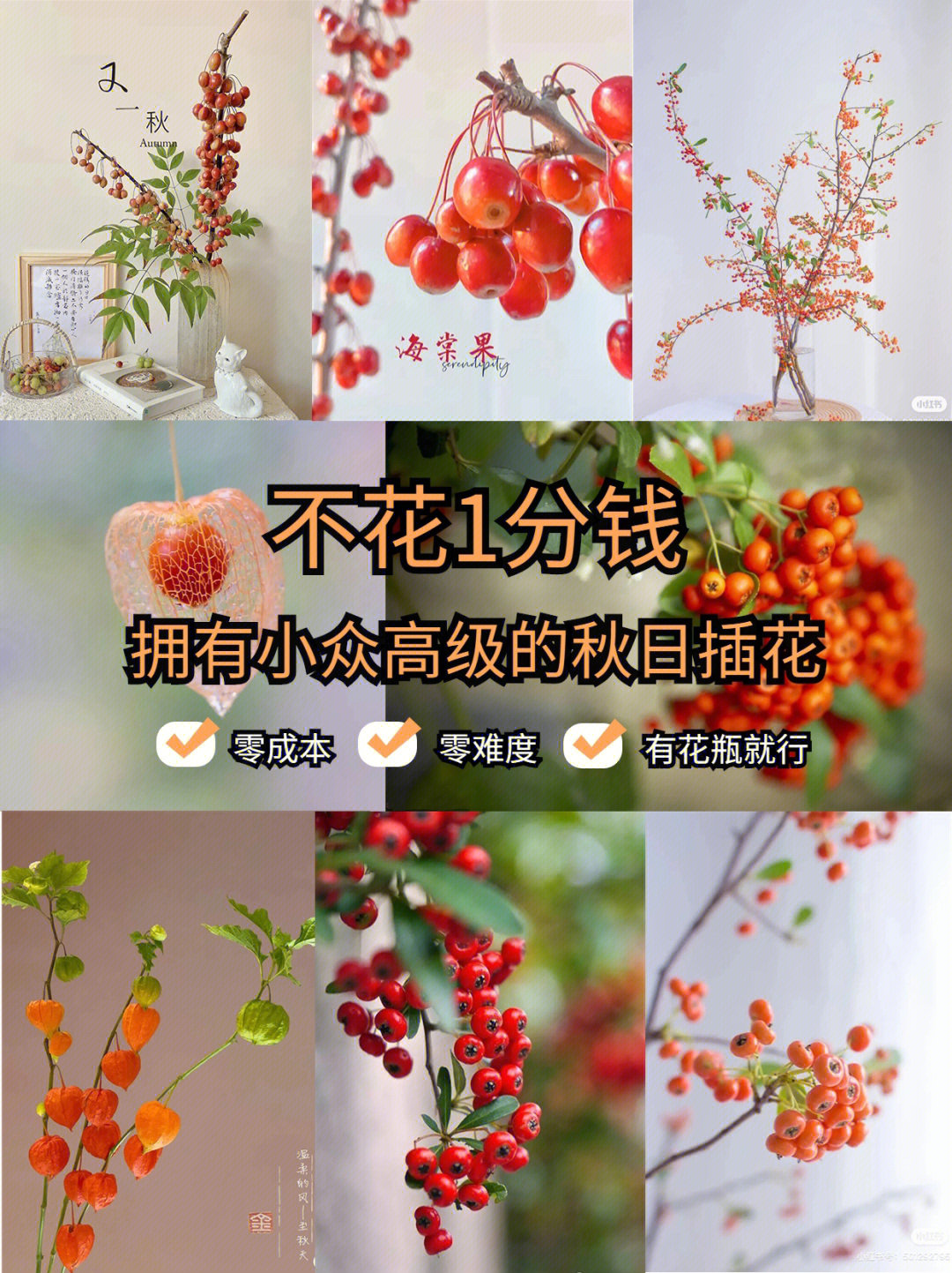 插在花瓶里,就是小众又高级的花艺作品呀[一r] 火棘 也叫吉祥果花语