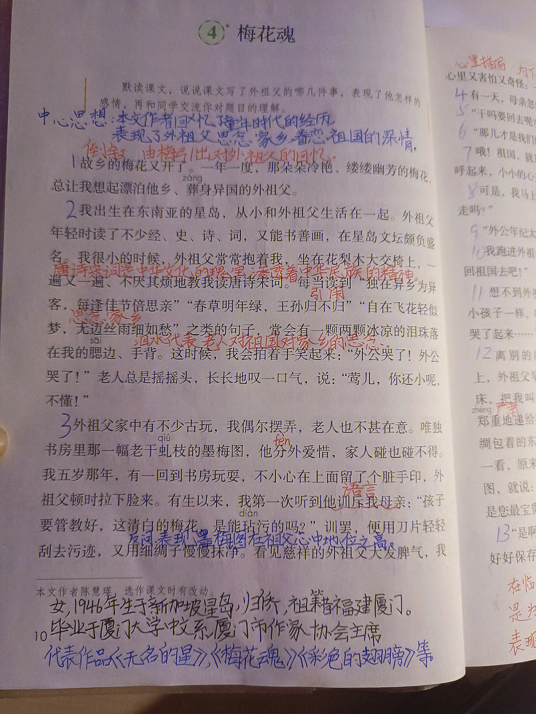 梅花魂中心句图片