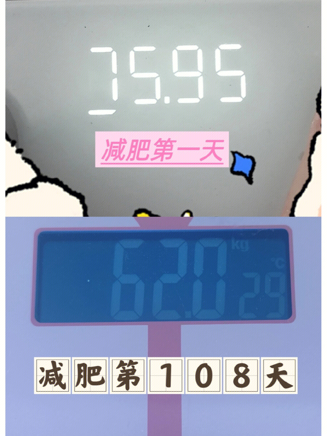 0kg(124斤)初始体重:7595kg(1519斤)比昨天重:16kg(3