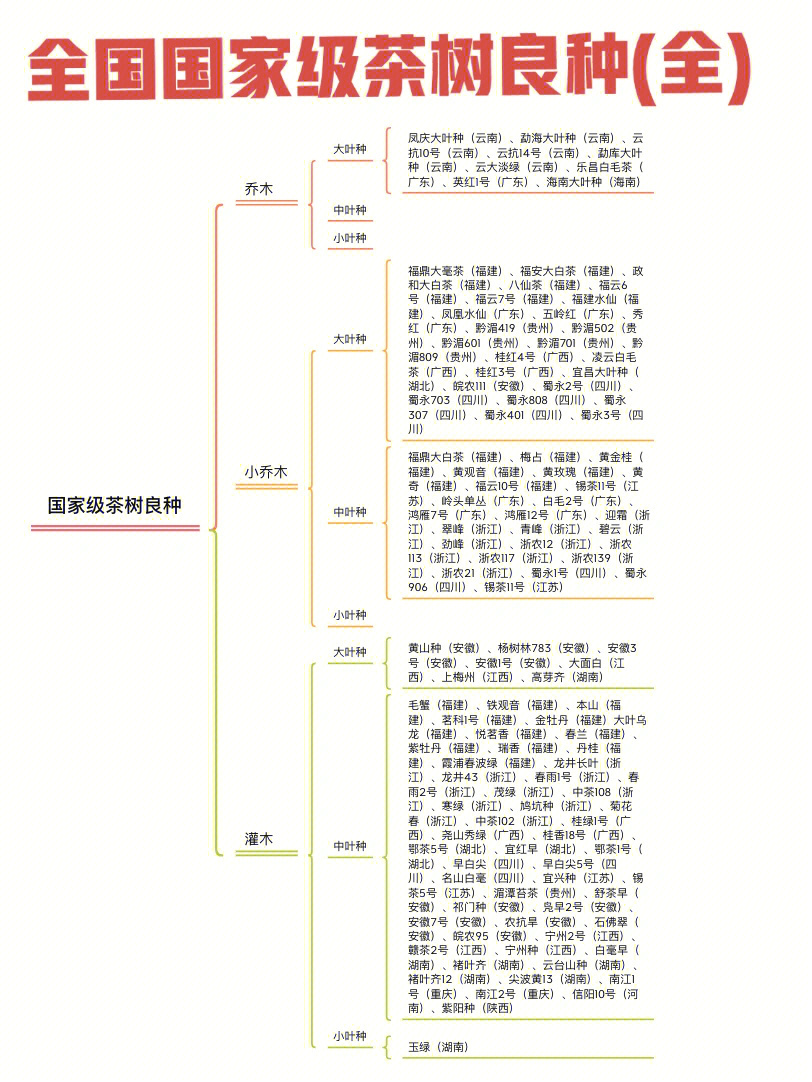 中国四大茶区思维导图图片