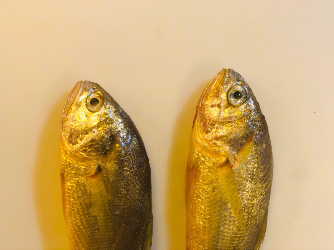 黄鱼的区别2你们能看出什么不同吗