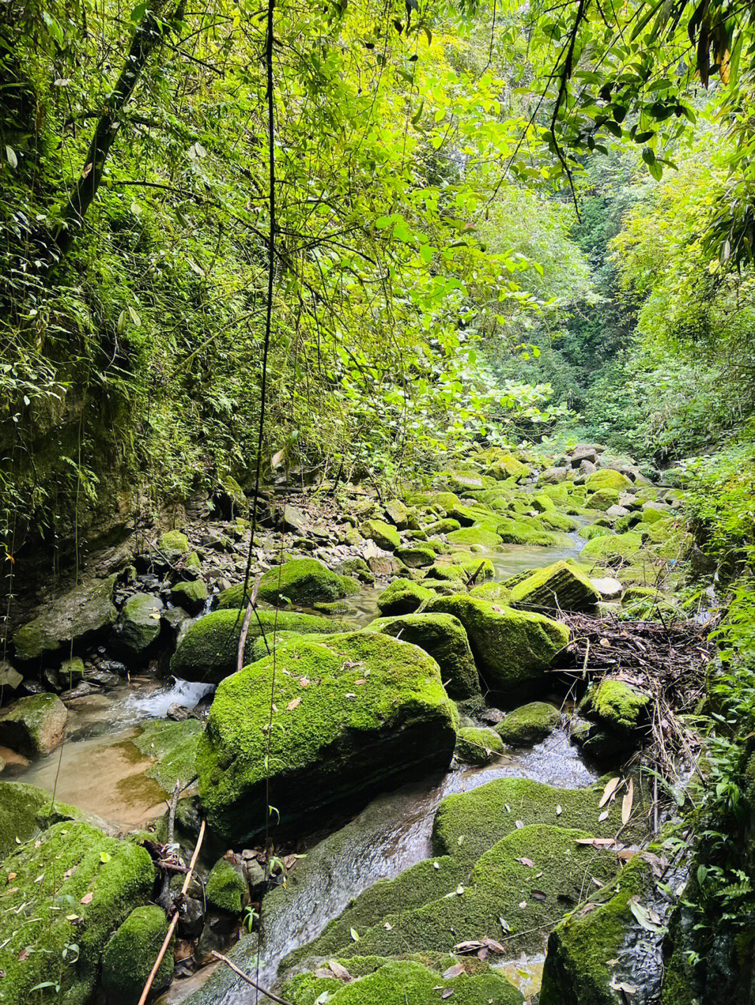 坐龙峡风景区图片